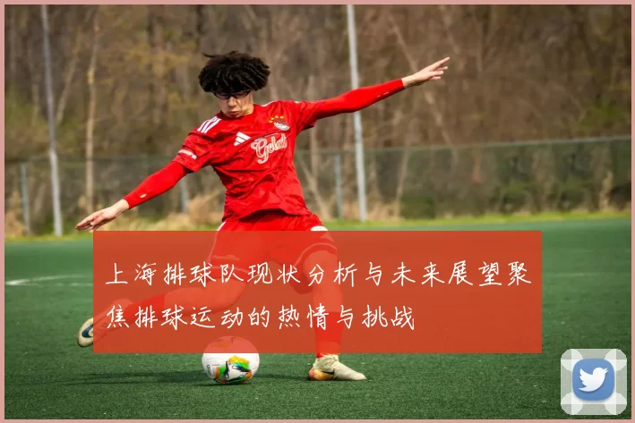 上海排球队现状分析与未来展望聚焦排球运动的热情与挑战