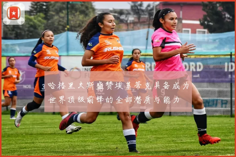 哈格里夫斯盛赞埃基蒂克具备成为世界顶级前锋的全部潜质与能力