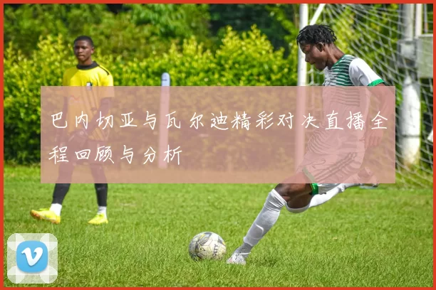 巴内切亚与瓦尔迪精彩对决直播全程回顾与分析