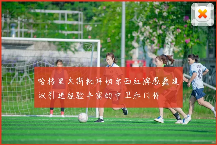 哈格里夫斯批评切尔西红牌愚蠢建议引进经验丰富的中卫和门将