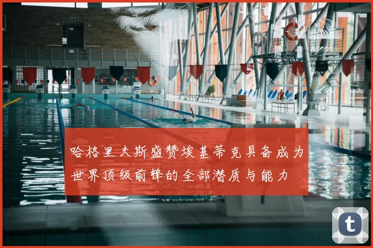哈格里夫斯盛赞埃基蒂克具备成为世界顶级前锋的全部潜质与能力