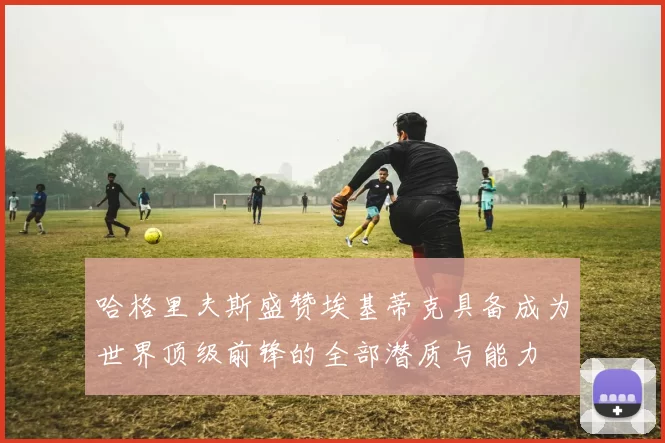 哈格里夫斯盛赞埃基蒂克具备成为世界顶级前锋的全部潜质与能力