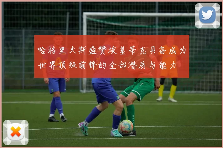 哈格里夫斯盛赞埃基蒂克具备成为世界顶级前锋的全部潜质与能力