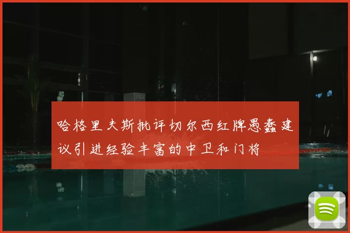 哈格里夫斯批评切尔西红牌愚蠢建议引进经验丰富的中卫和门将