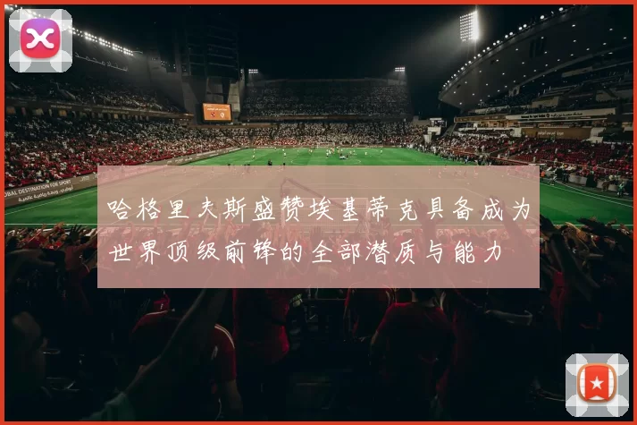 哈格里夫斯盛赞埃基蒂克具备成为世界顶级前锋的全部潜质与能力