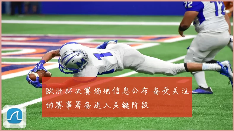 欧洲杯决赛场地信息公布 备受关注的赛事筹备进入关键阶段