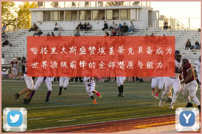 哈格里夫斯盛赞埃基蒂克具备成为世界顶级前锋的全部潜质与能力
