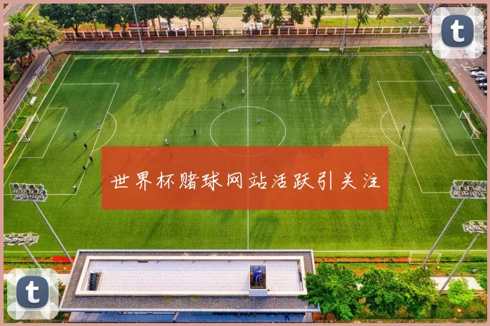 世界杯赌球网站活跃引关注