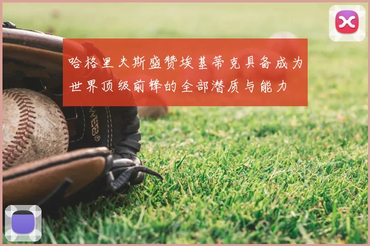 哈格里夫斯盛赞埃基蒂克具备成为世界顶级前锋的全部潜质与能力