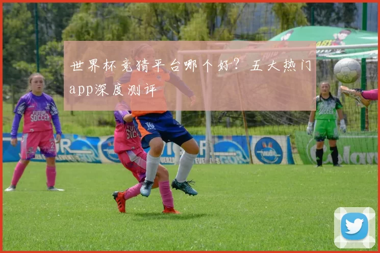 世界杯竞猜平台哪个好?五大热门app深度测评