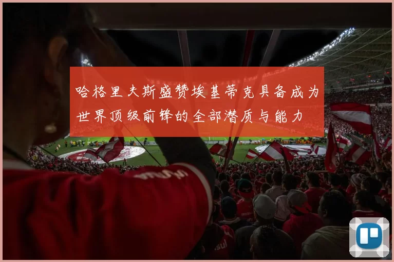 哈格里夫斯盛赞埃基蒂克具备成为世界顶级前锋的全部潜质与能力