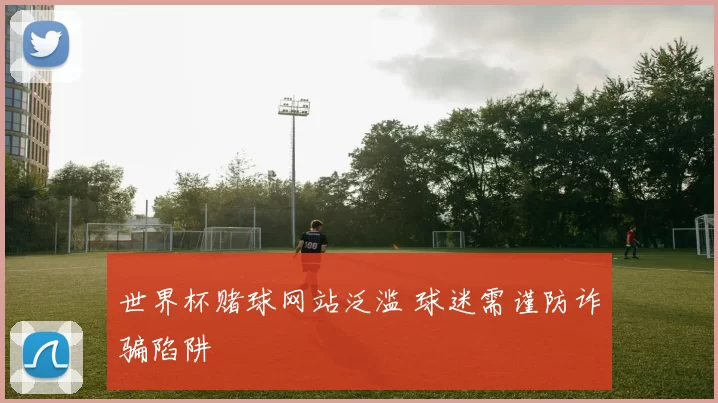 世界杯赌球网站泛滥 球迷需谨防诈骗陷阱