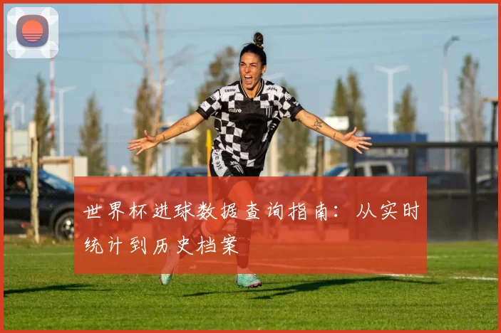 世界杯进球数据查询指南:从实时统计到历史档案