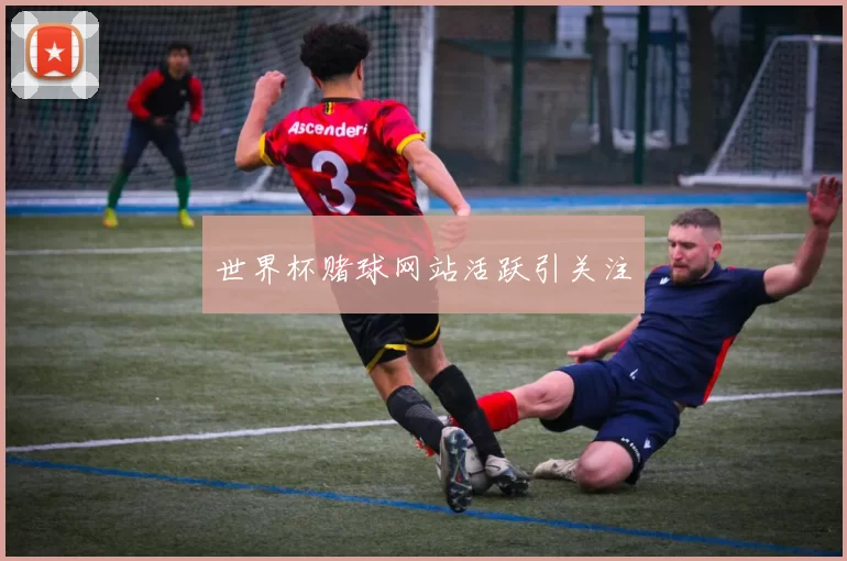 世界杯赌球网站活跃引关注