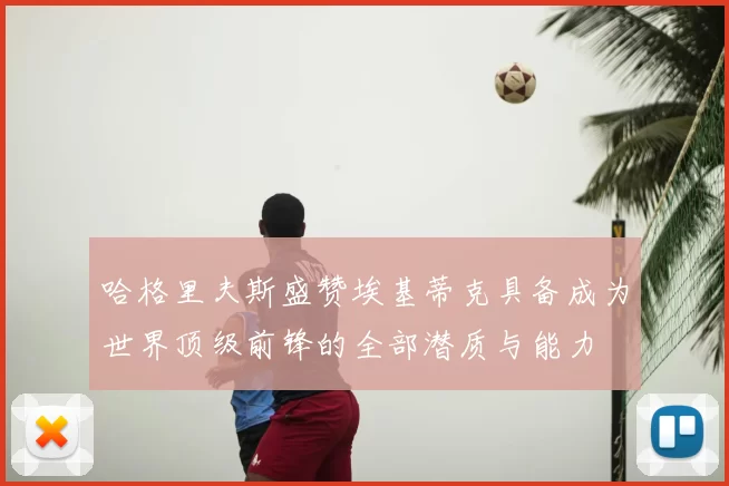 哈格里夫斯盛赞埃基蒂克具备成为世界顶级前锋的全部潜质与能力