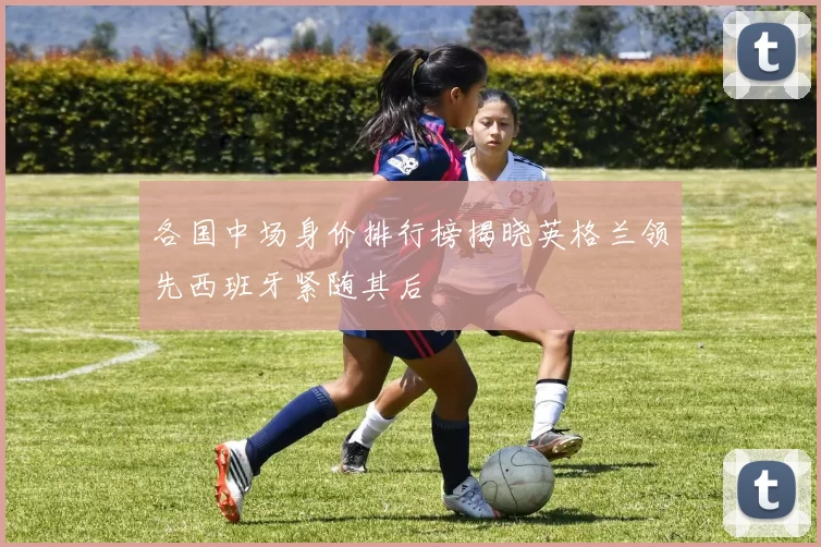 各国中场身价排行榜揭晓英格兰领先西班牙紧随其后