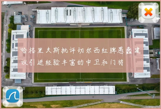 哈格里夫斯批评切尔西红牌愚蠢建议引进经验丰富的中卫和门将