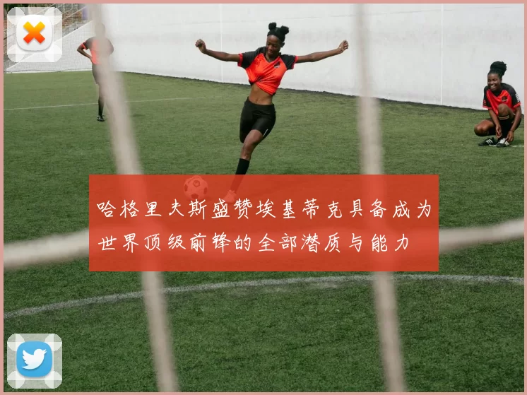 哈格里夫斯盛赞埃基蒂克具备成为世界顶级前锋的全部潜质与能力