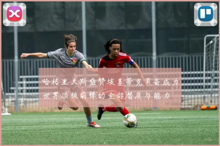 哈格里夫斯盛赞埃基蒂克具备成为世界顶级前锋的全部潜质与能力