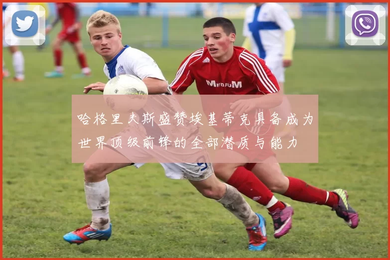 哈格里夫斯盛赞埃基蒂克具备成为世界顶级前锋的全部潜质与能力