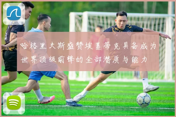 哈格里夫斯盛赞埃基蒂克具备成为世界顶级前锋的全部潜质与能力