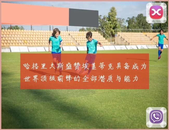 哈格里夫斯盛赞埃基蒂克具备成为世界顶级前锋的全部潜质与能力