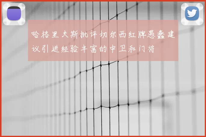 哈格里夫斯批评切尔西红牌愚蠢建议引进经验丰富的中卫和门将