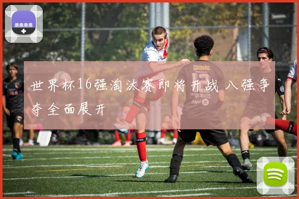 世界杯16强淘汰赛即将开战 八强争夺全面展开